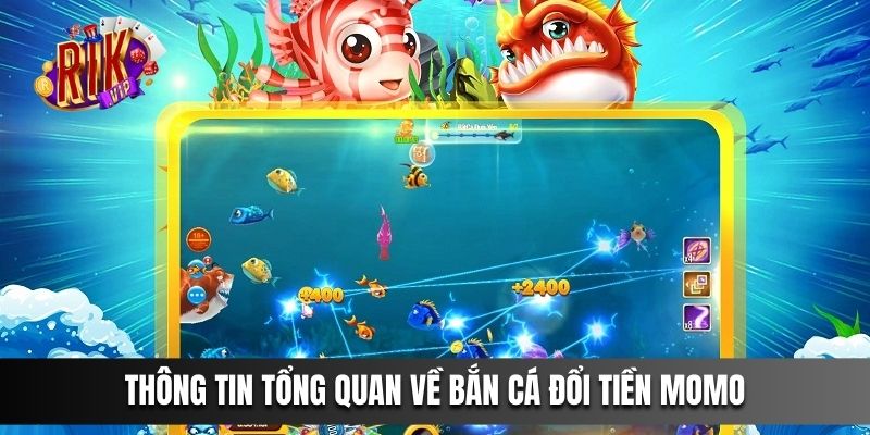 Thông tin tổng quan về Bắn Cá Đổi Tiền Momo