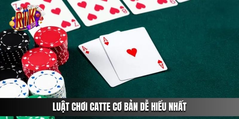 Luật chơi Catte cơ bản dễ hiểu nhất