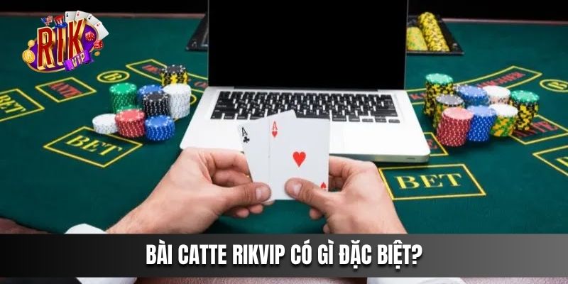 Bài Catte Rikvip có gì đặc biệt?