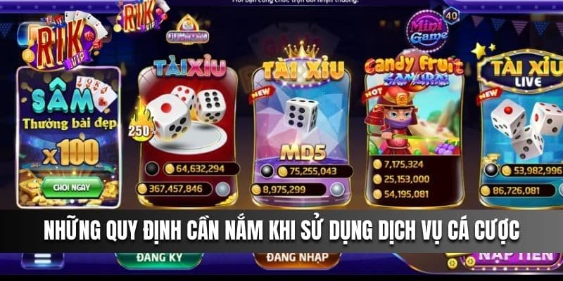 Những quy định cần nắm khi sử dụng dịch vụ cá cược