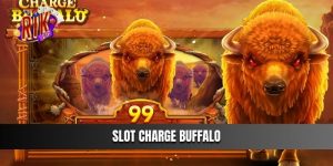 Slot Charge Buffalo